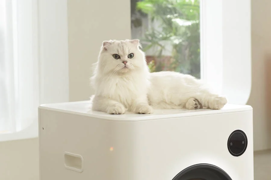 pet safe litter boxes